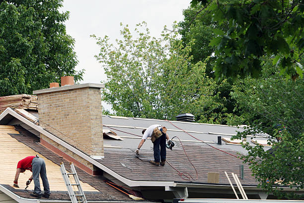 Roof Moss and Algae Removal